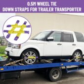 Wheel Tie Down Straps for Transporter